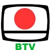 Bangladesh TV logo