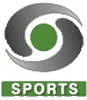 DD Sports logo