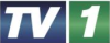 ZNBC TV1 Zambia logo