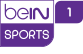 beIN Sports 1 Turkey logo