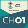 FIFA WWC CH01 logo