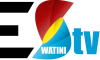 Eswatini TV logo