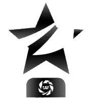 Trofeo de Campeones de la Superliga logo