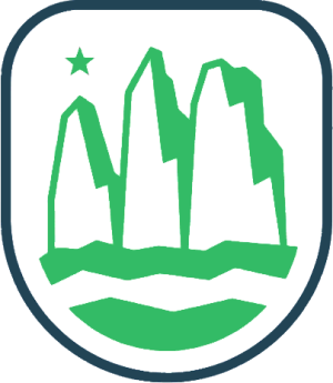 Copa De La Liga logo
