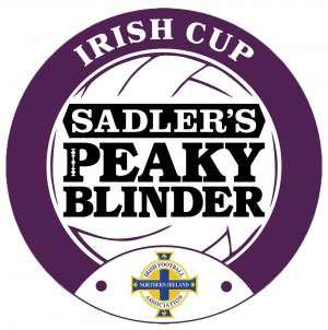 Irish Cup logo