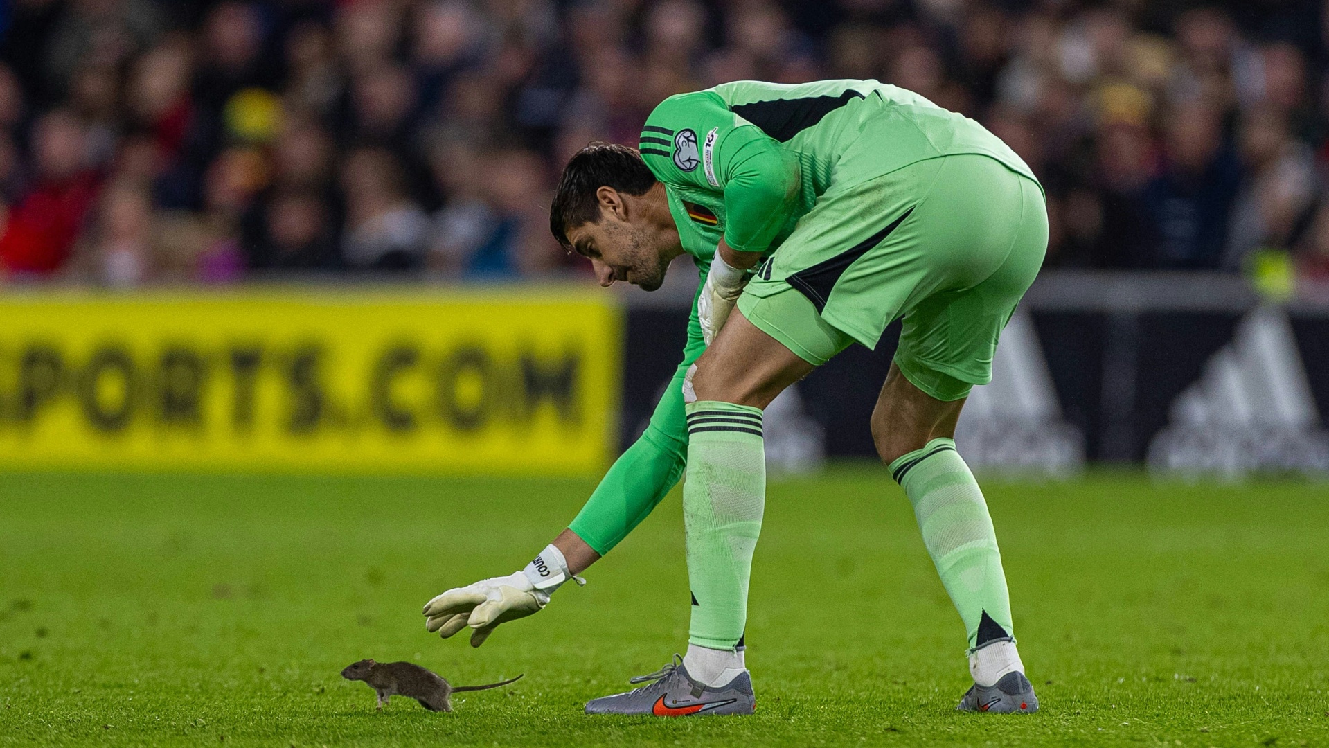 "Hätte es kaum geglaubt": Ratte verursacht Unterbrechung im Spiel