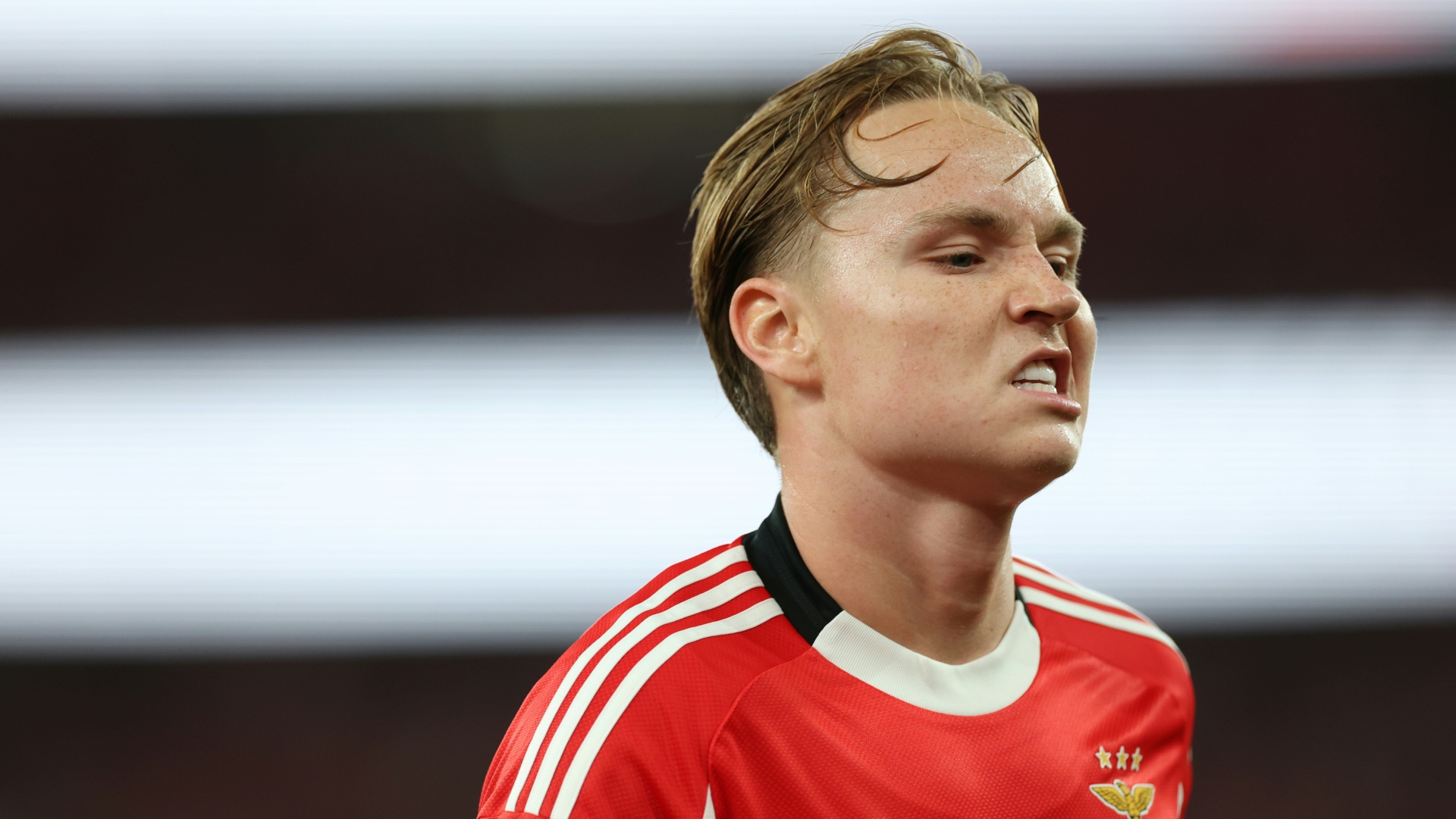 Benficas Schjelderup gesteht Verbreitung eines Sexvideos