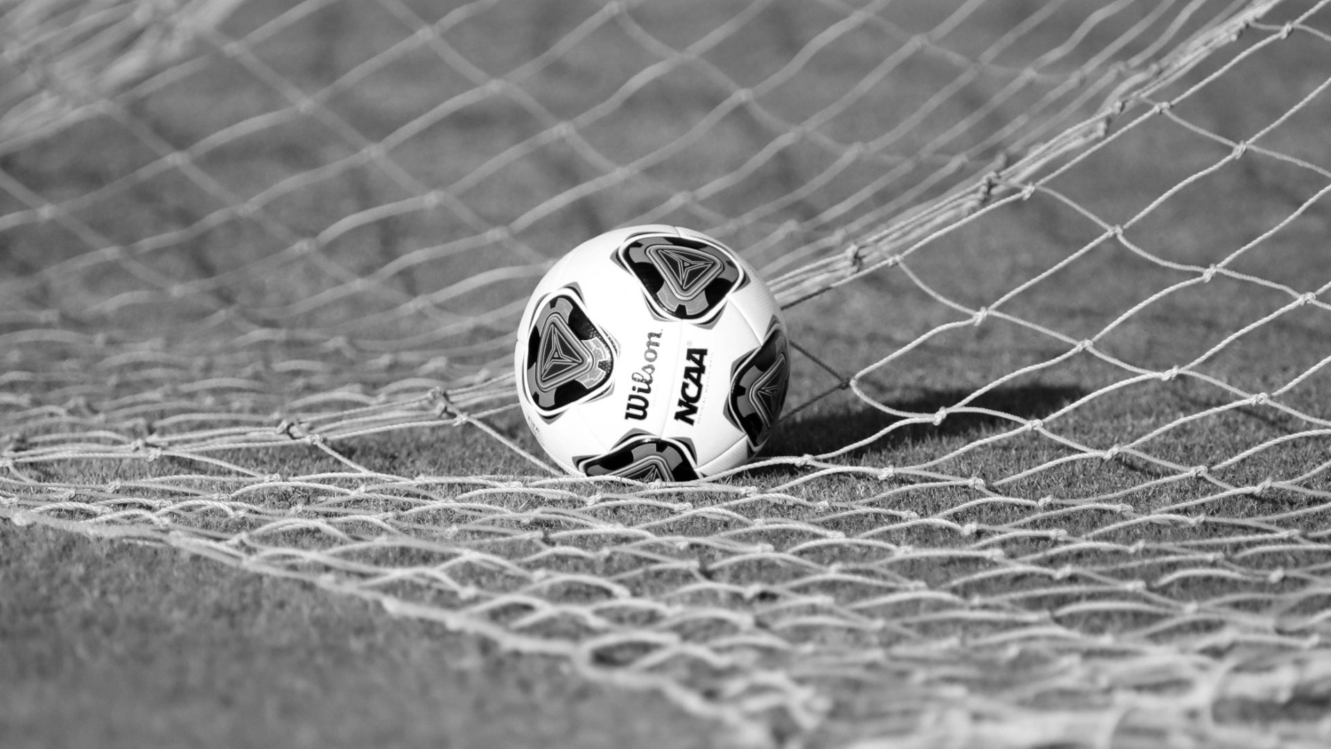 Verstorben an Nierenkrebs: Abschied von US-Torwarttalent