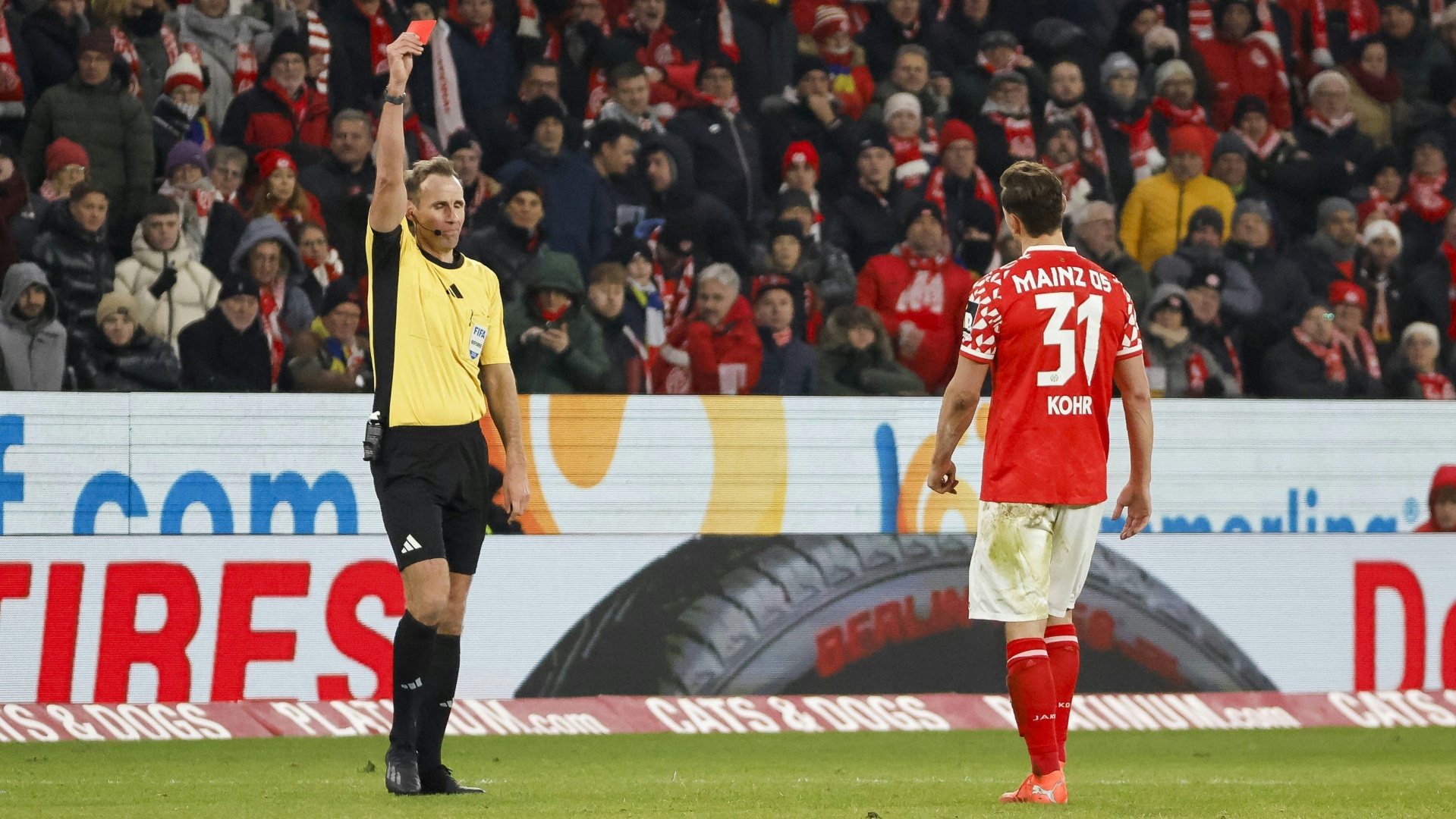 "Nicht ganz fair": Mainzer stellen sich vor ihren "Rowdy" Kohr