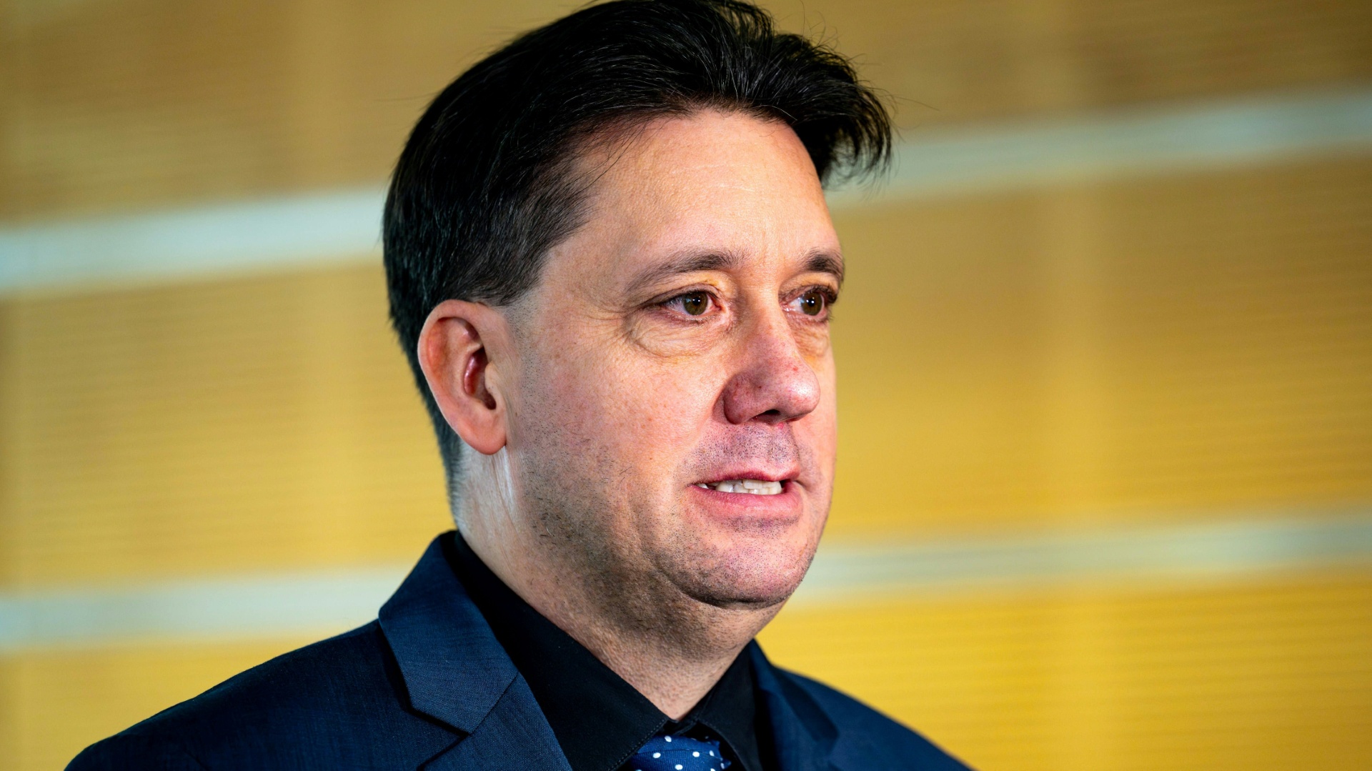 Konflikt mit DFB: Verfahren um Gräfe wird am Donnerstag fortgesetzt