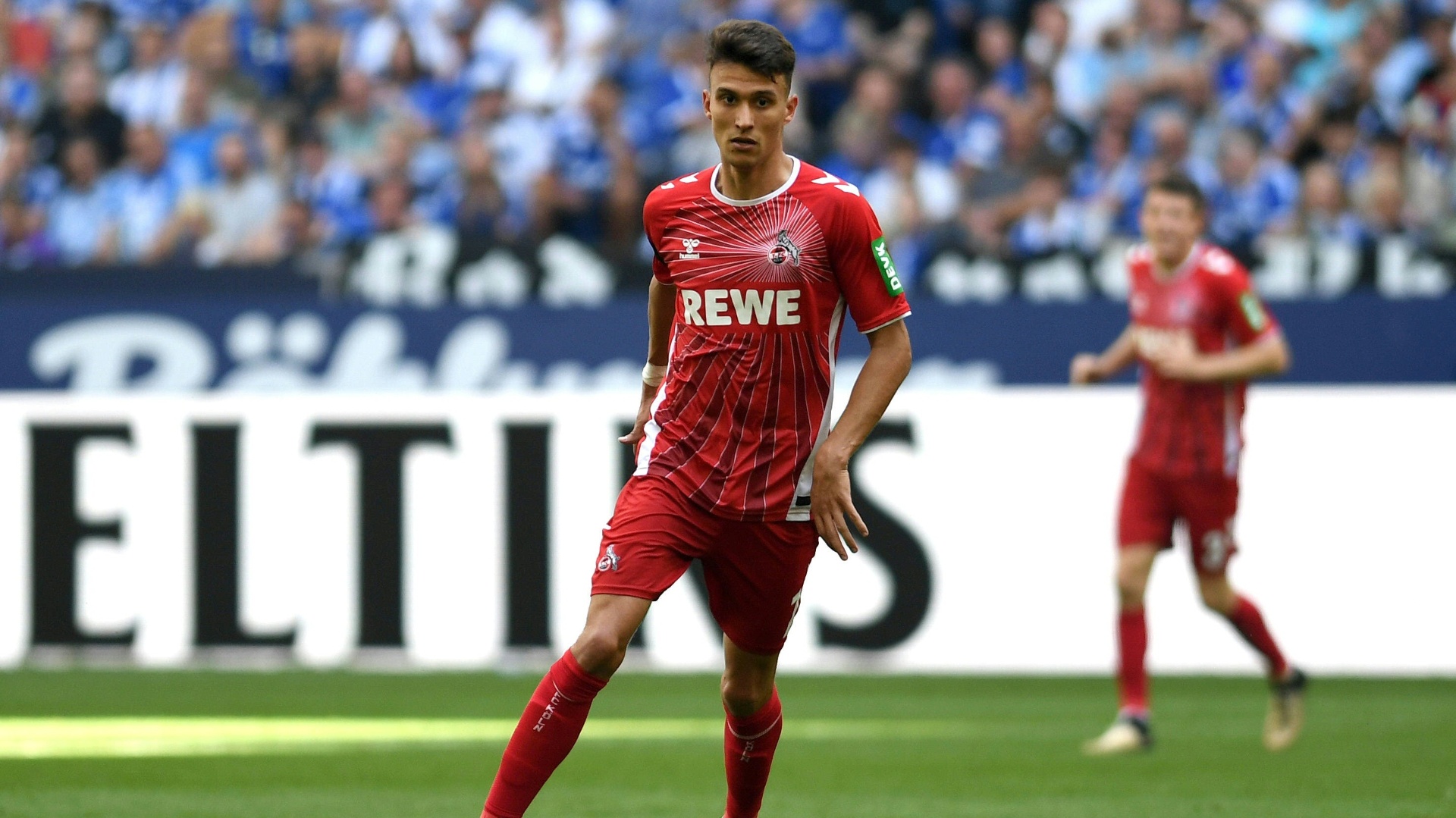 Trainer aus Zagreb bestätigt: Schalke verpflichtet Ljubicic ebenfalls