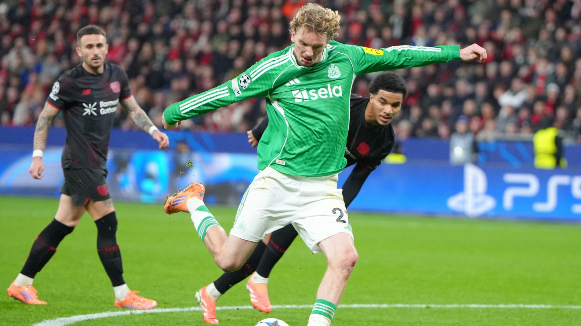 Newcastles Trainer Howe unterstützt Woltemade