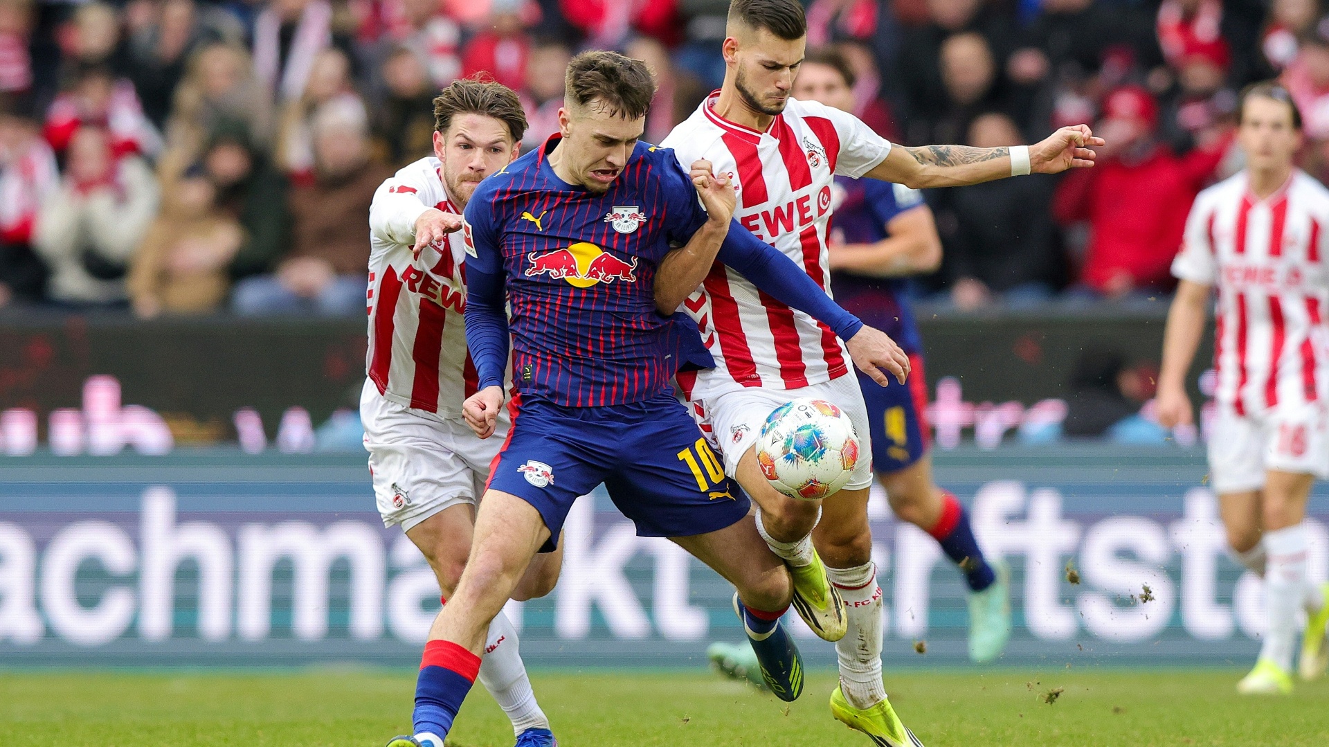 Rund um Gruda: Sofort abgebrüht und bissig in Leipzig angekommen