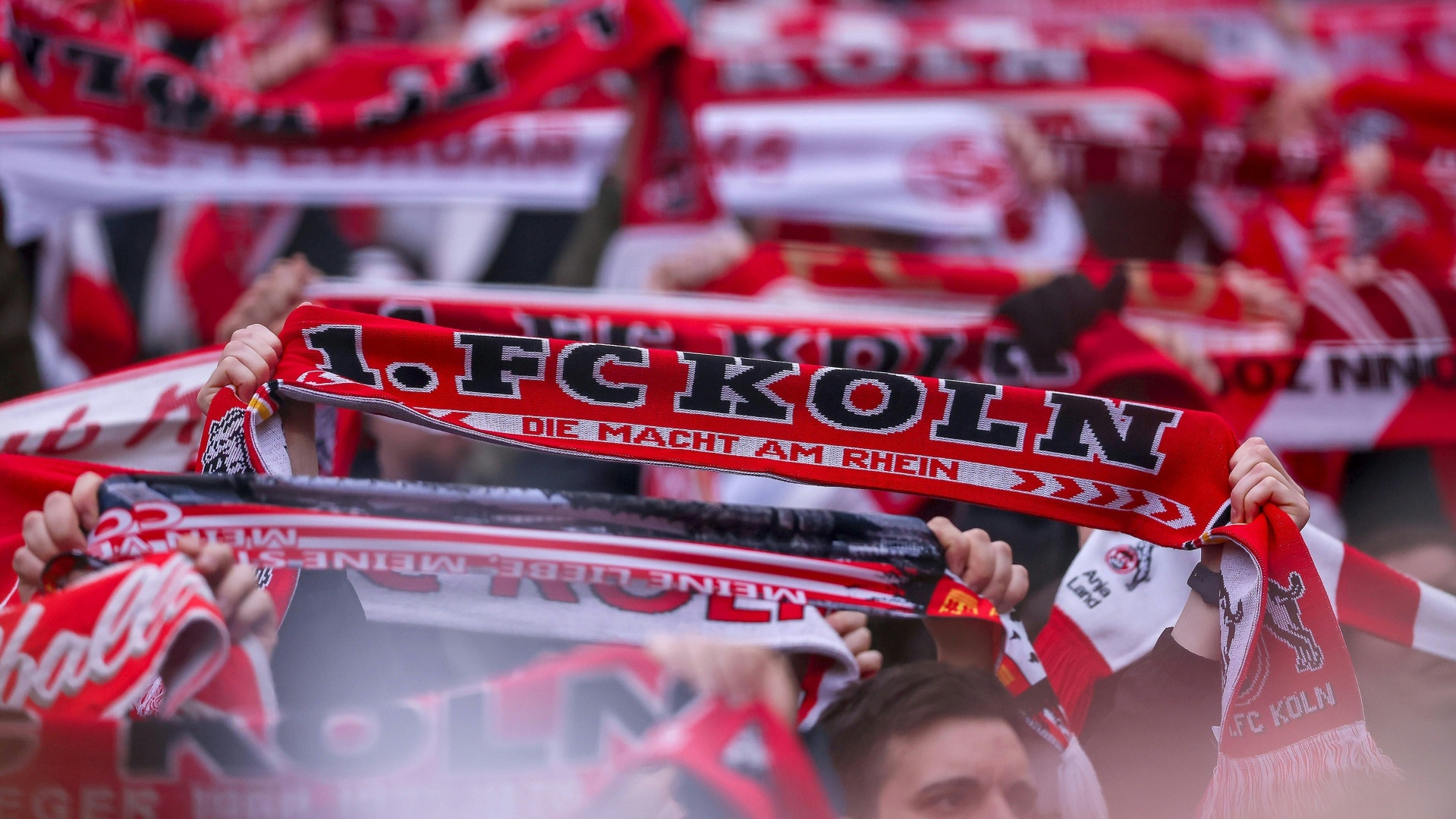 Köln: Fan nach Sturz in "sehr kritischem Zustand"