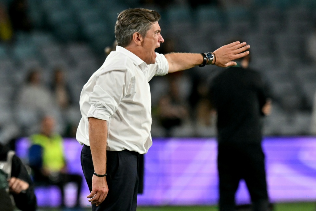 Japan coach says Australia 'massive favourites' in Asian Cup final