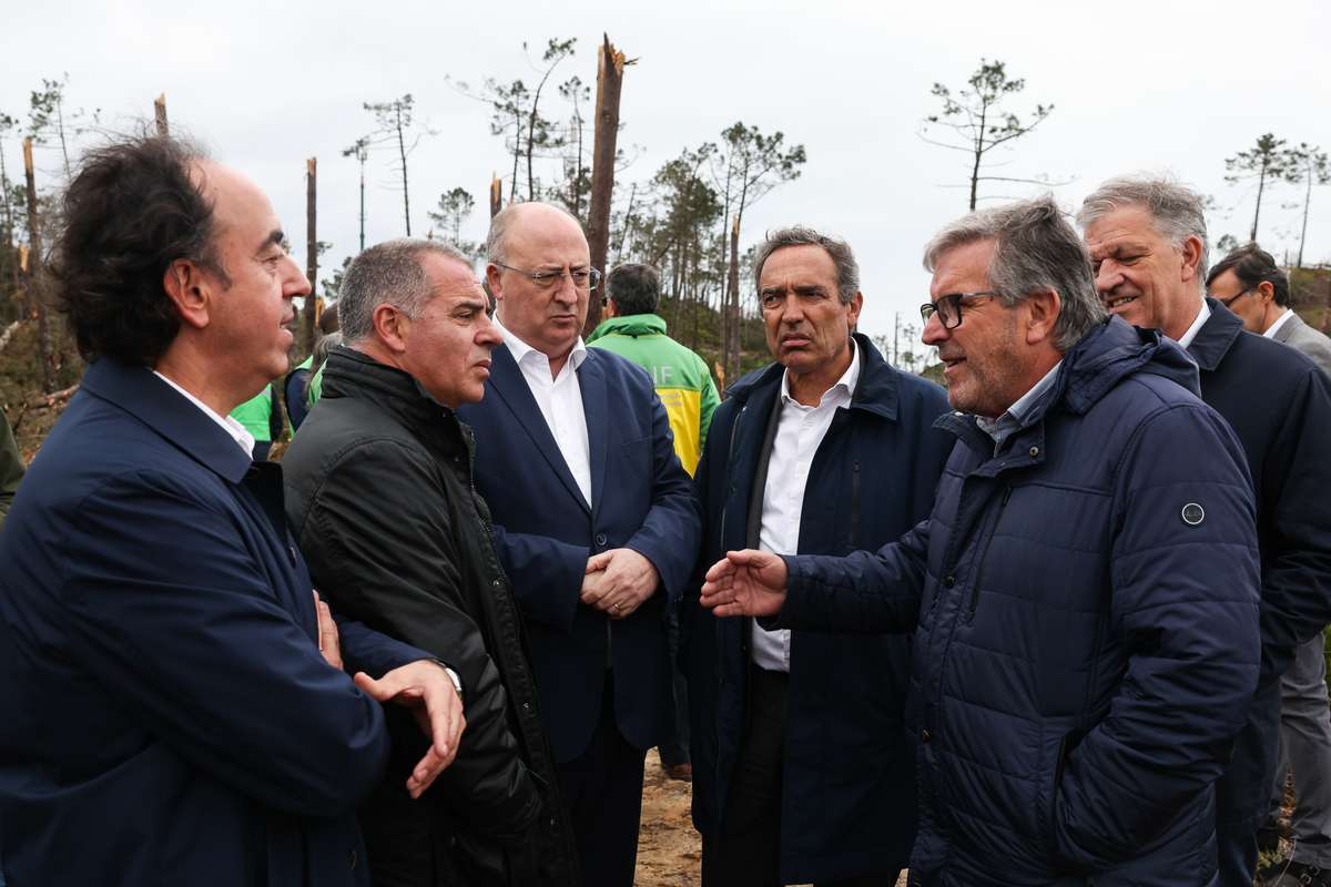 Líder da Liga Elogia Clubes pela Performance Europeia de Sucesso