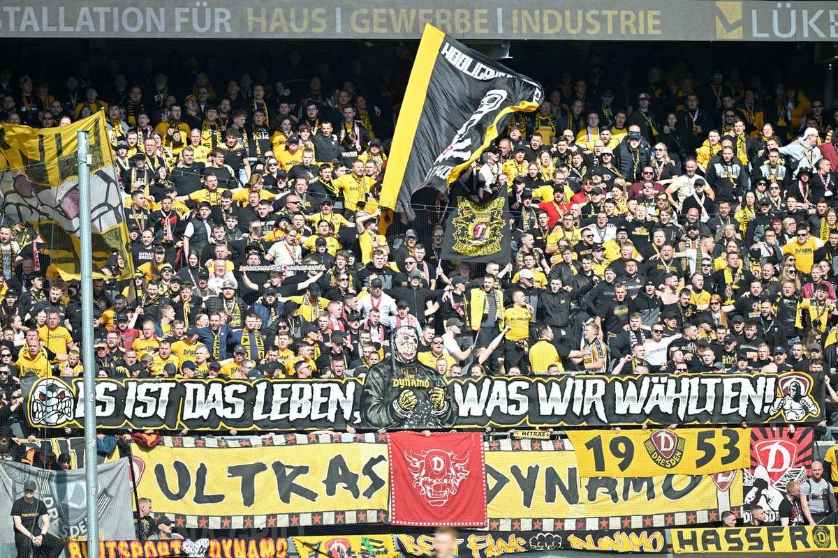 2. Bundesliga: Stephan Engels übernimmt als neuer Kaderplaner bei Dynamo Dresden