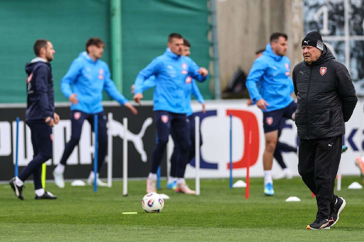 Trener Czech Miroslav Koubek zaprzecza plotkom o nazwania stylu Irlandii prymitywnym