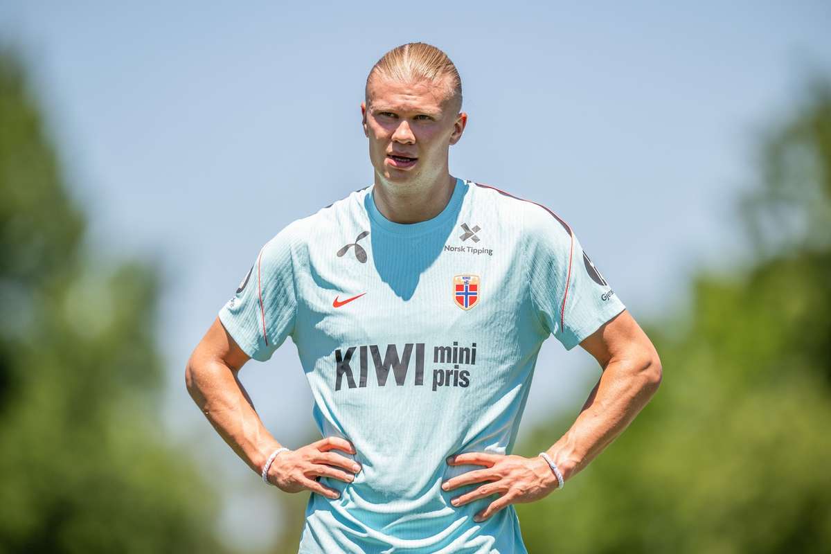 Haaland dan Odegaard Diperingatkan untuk Waspadai Ular Berbahaya di Dekat Kamp Norwegia