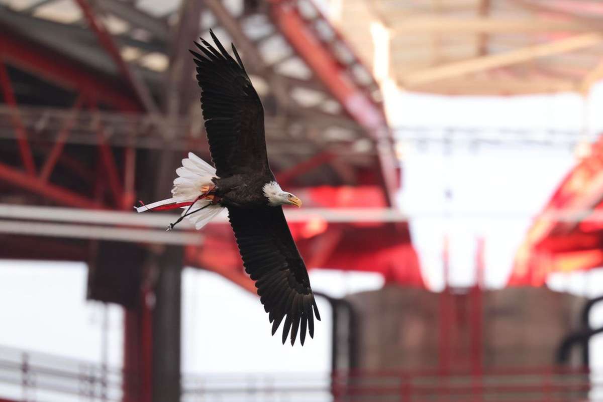 Oficial: Benfica impede investidor norte-americano de entrar na SAD