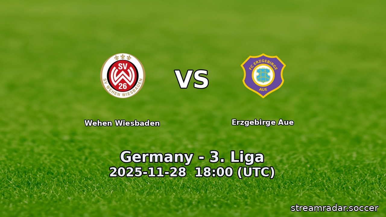 Wehen Wiesbaden vs Erzgebirge Aue