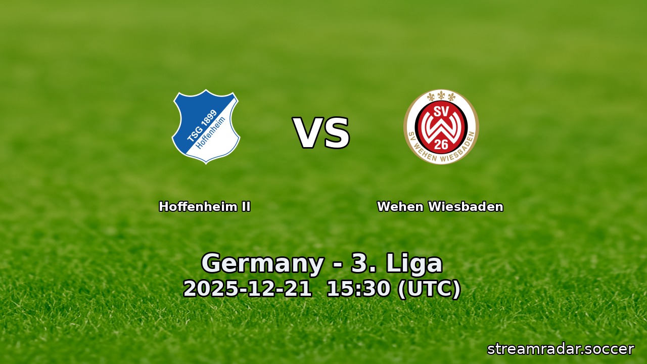 Hoffenheim II vs Wehen Wiesbaden