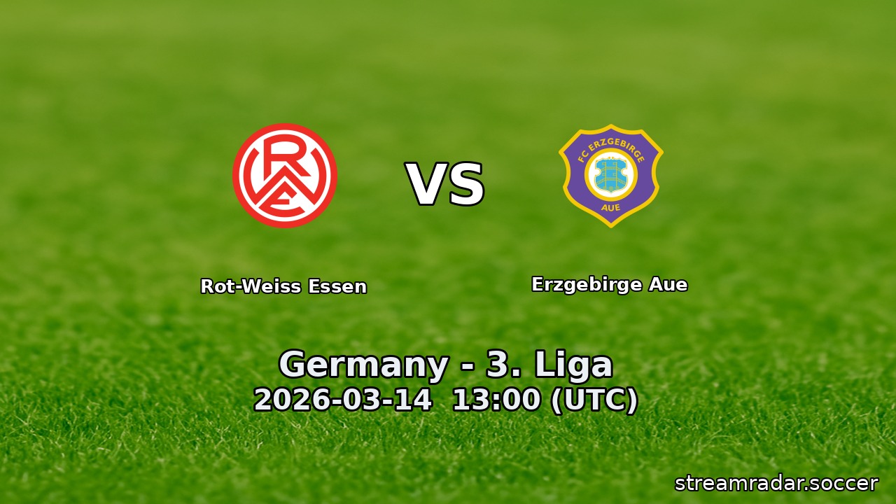 Rot-Weiss Essen vs Erzgebirge Aue