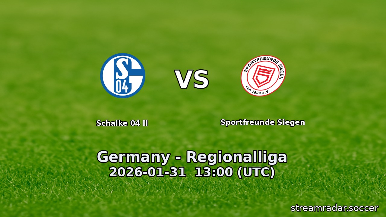 Schalke 04 II vs Sportfreunde Siegen