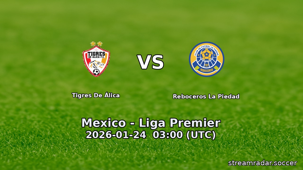 Tigres De Álica vs Reboceros La Piedad