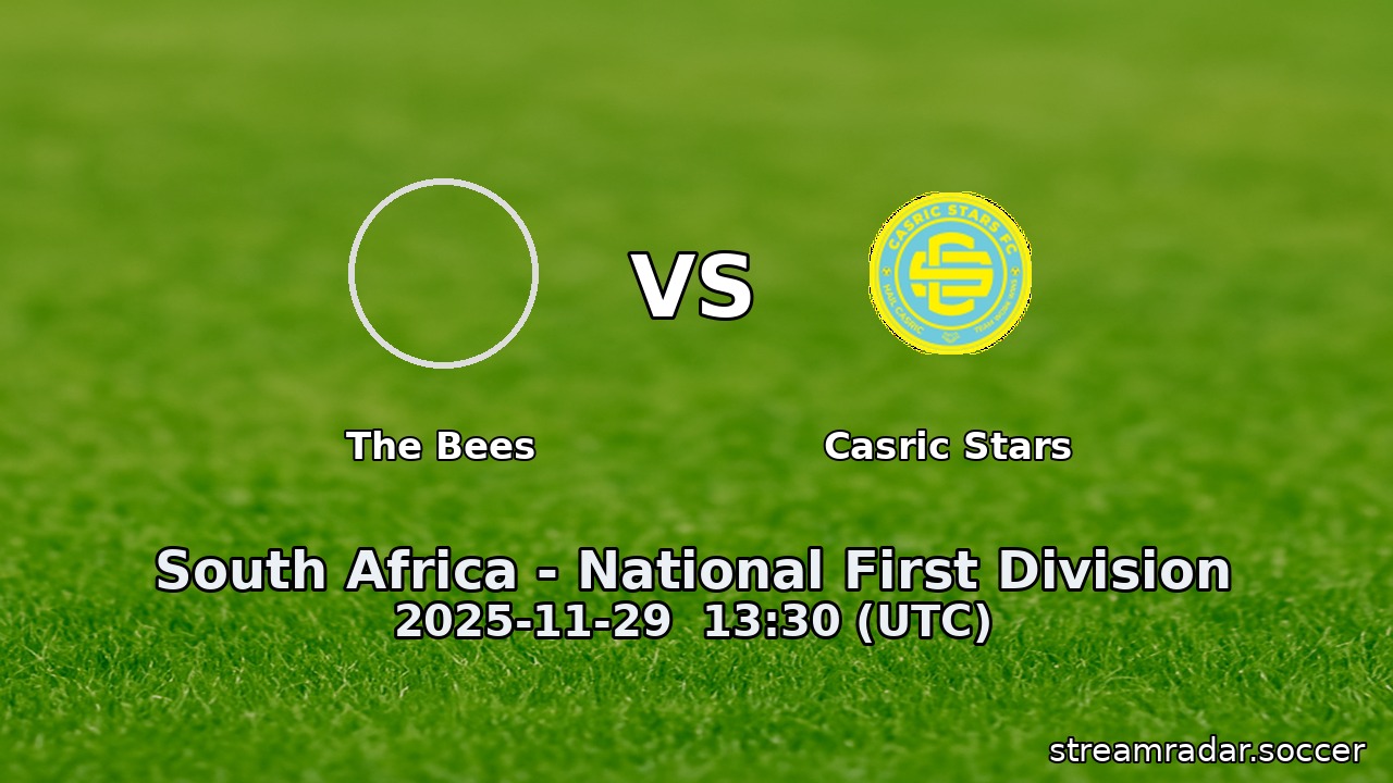 The Bees vs Casric Stars