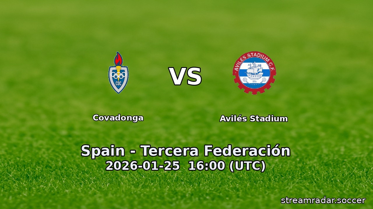 Covadonga vs Avilés Stadium