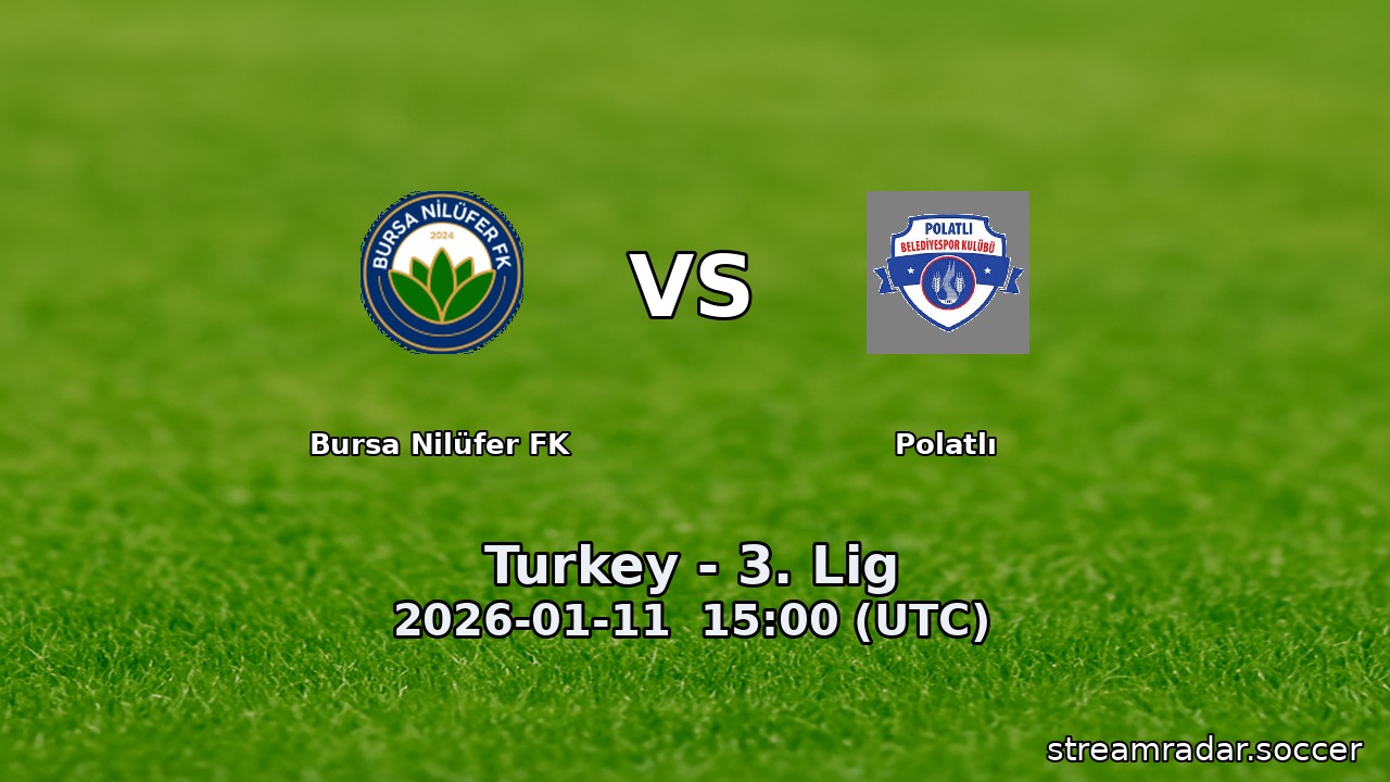 Bursa Nilüfer FK vs Polatlı