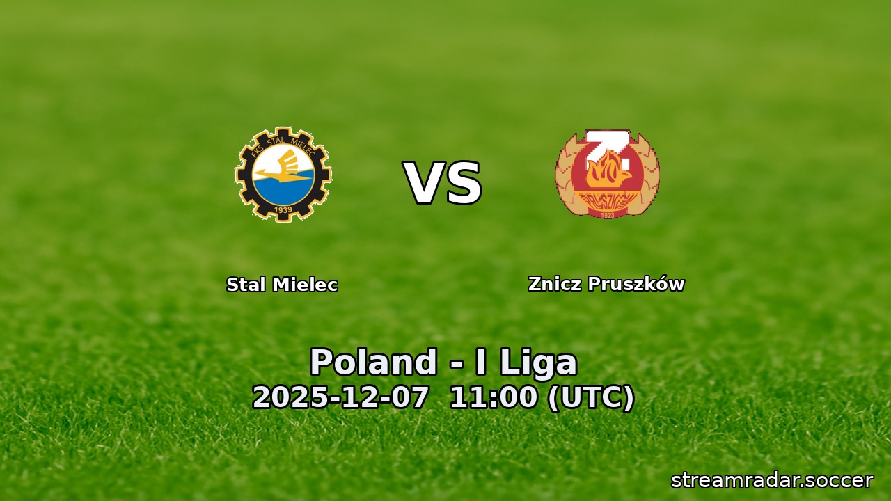 Stal Mielec vs Znicz Pruszków