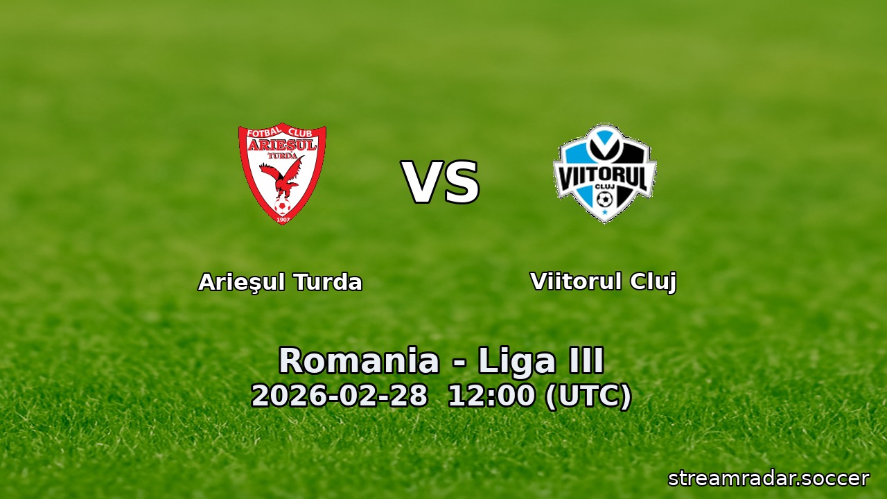 Arieşul Turda vs Viitorul Cluj