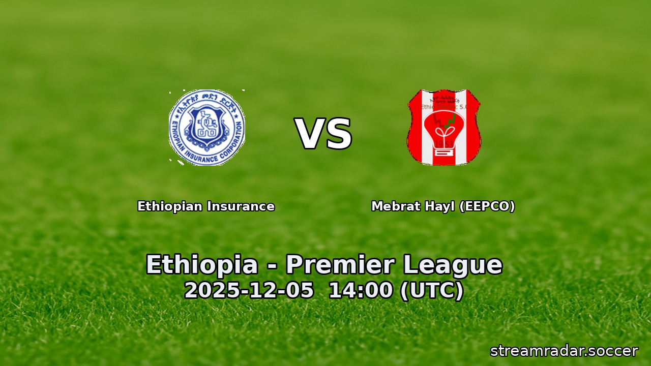 Ethiopian Insurance vs Mebrat Hayl (EEPCO)