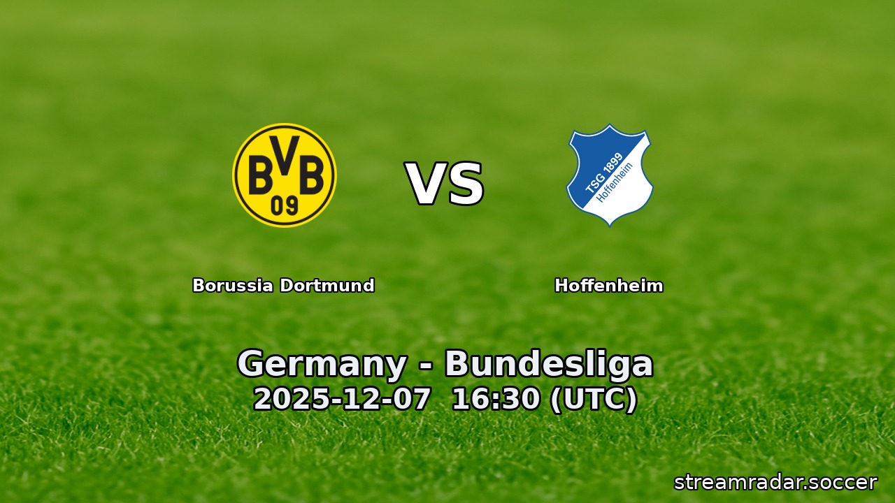 Borussia Dortmund vs Hoffenheim