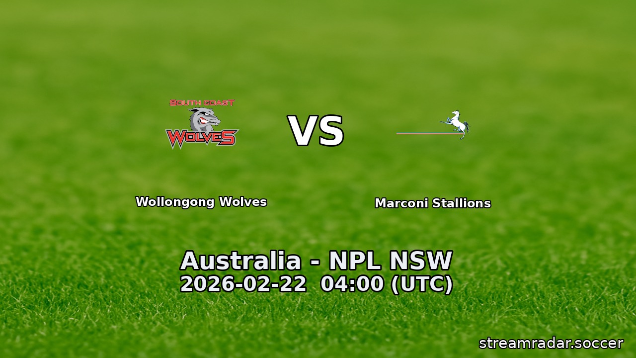 Wollongong Wolves vs Marconi Stallions