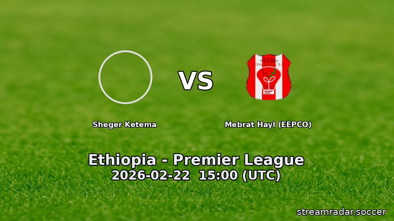 Sheger Ketema vs Mebrat Hayl (EEPCO)