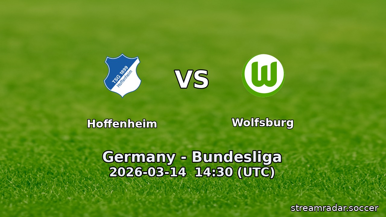 Hoffenheim vs Wolfsburg
