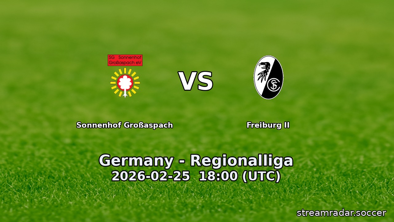Sonnenhof Großaspach vs Freiburg II
