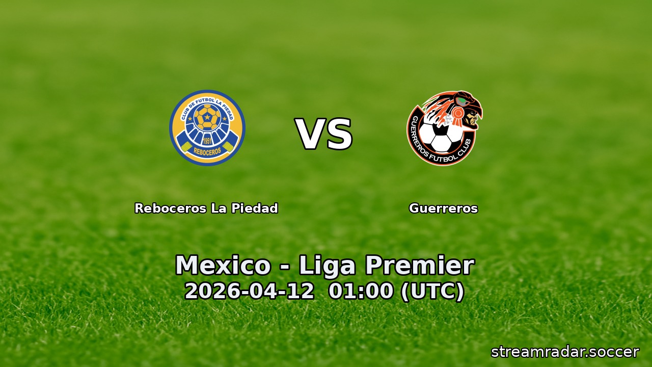 Reboceros La Piedad vs Guerreros