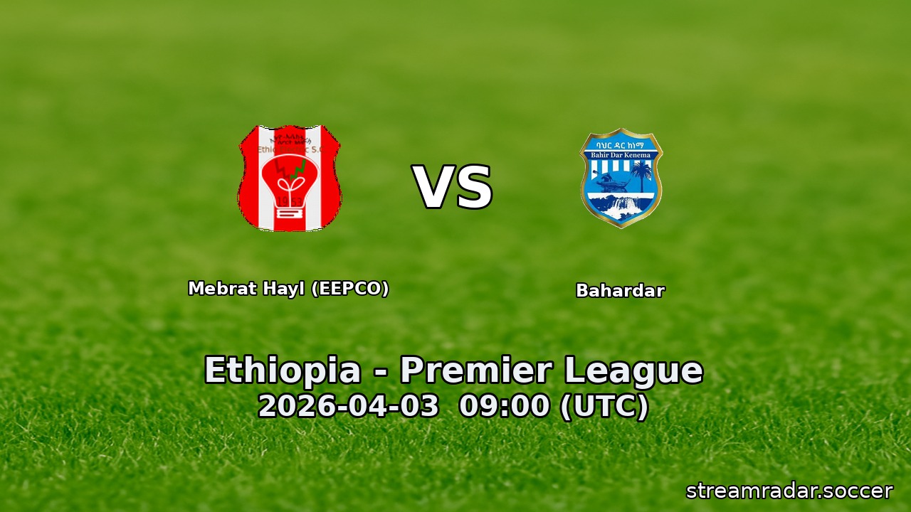 Mebrat Hayl (EEPCO) vs Bahardar