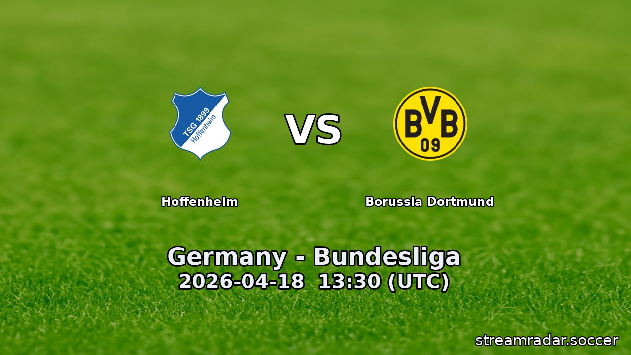 Hoffenheim vs Borussia Dortmund