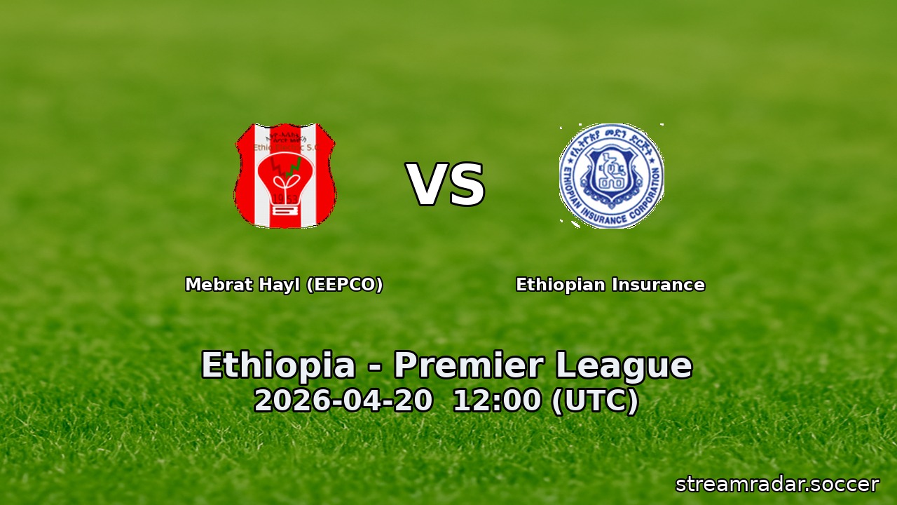 Mebrat Hayl (EEPCO) vs Ethiopian Insurance