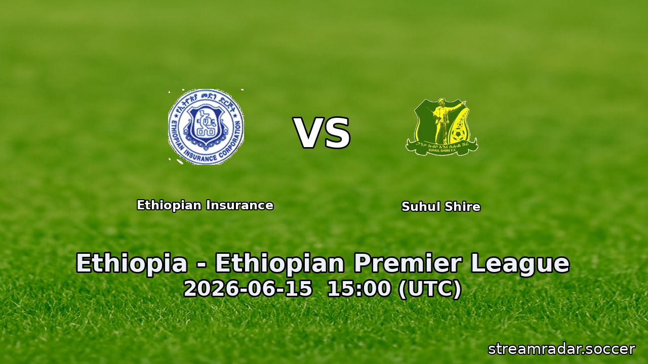 Ethiopian Insurance vs Suhul Shire
