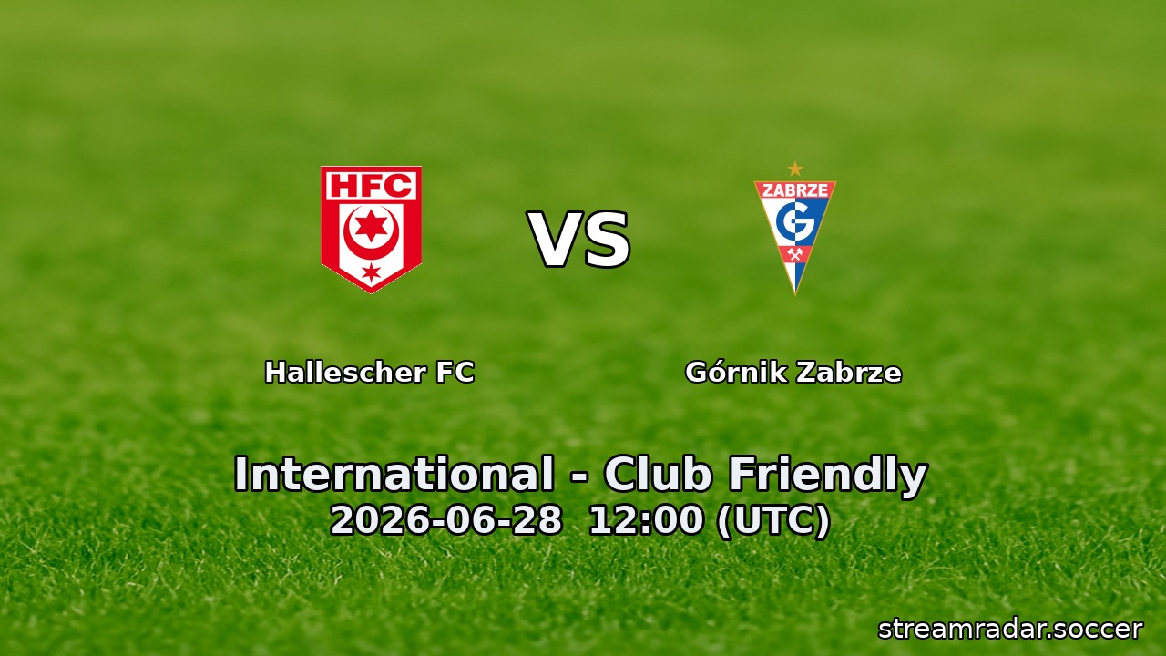 Hallescher FC vs Górnik Zabrze