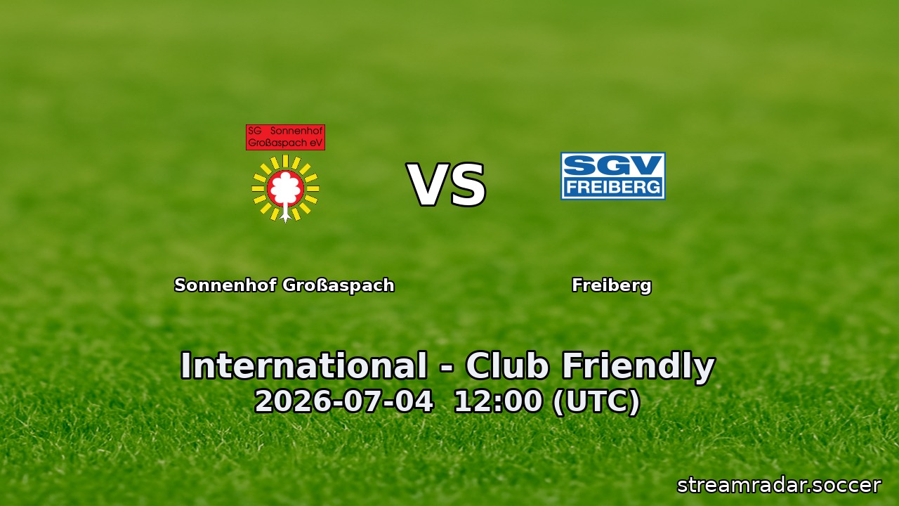 Sonnenhof Großaspach vs Freiberg