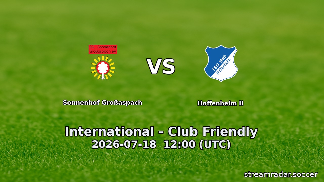 Sonnenhof Großaspach vs Hoffenheim II