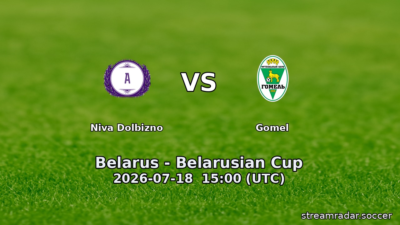 Niva Dolbizno vs Gomel