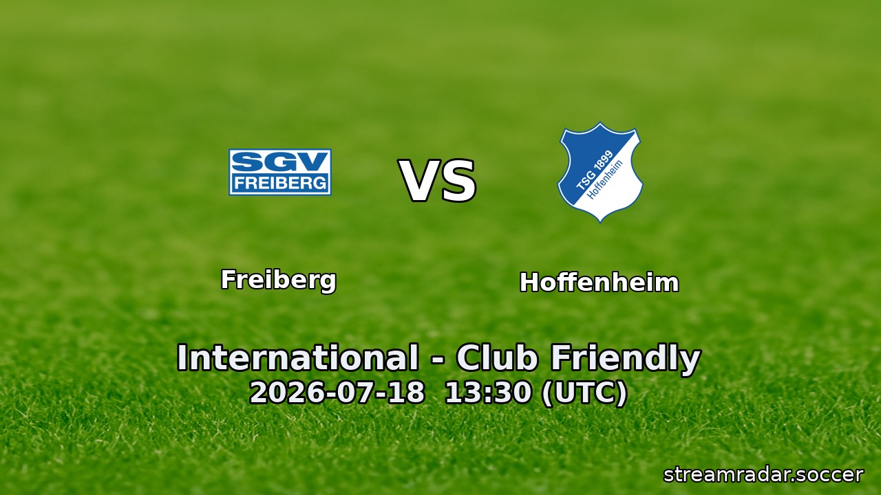Freiberg vs Hoffenheim